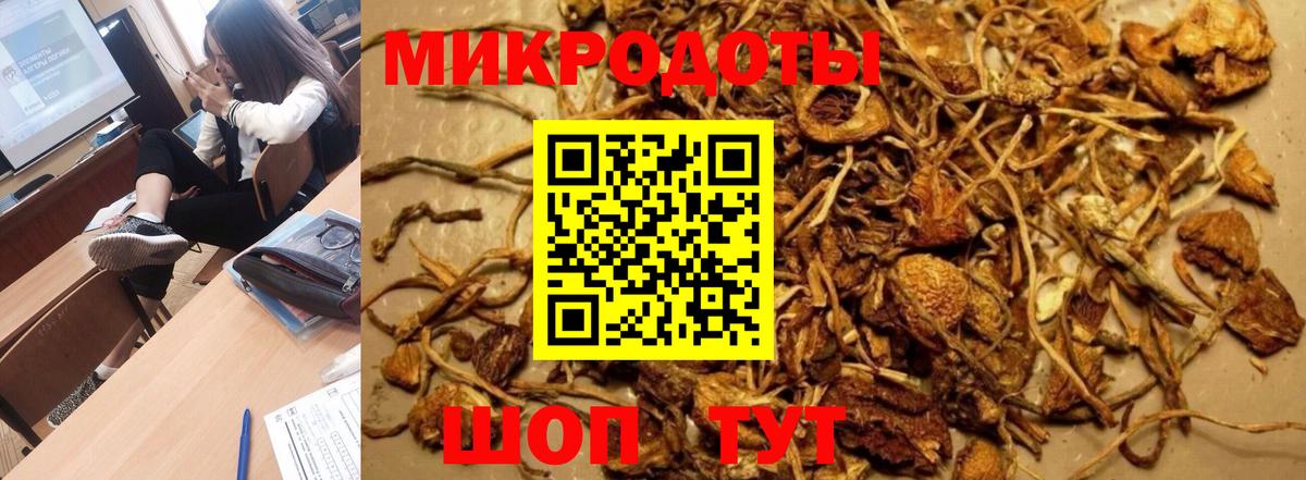 Галлюциногенные грибы мицелий  Галлюциногенные грибы прущие грибы  Вход с VPN  Волжск 