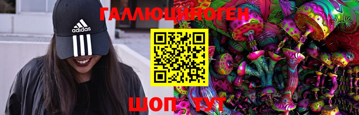 Псилоцибиновые грибы Cubensis Волжск